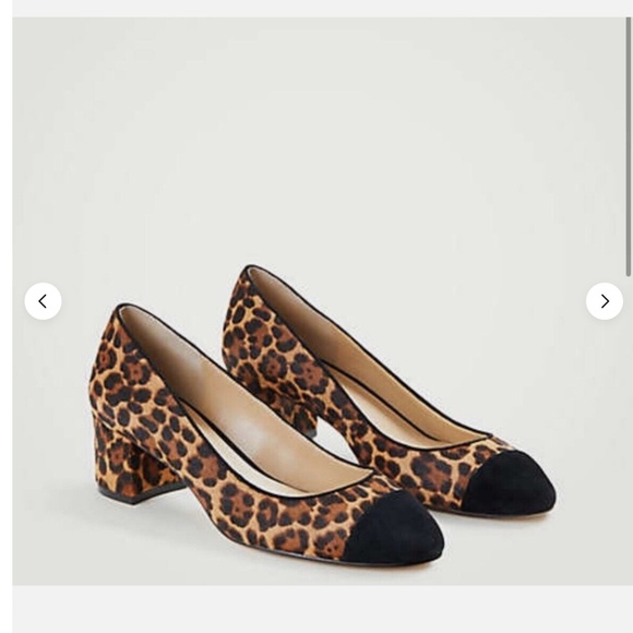 Ann Taylor Odelia Haircalf Cap Toe Pump Leopard Size 7 - Picture 2 of 8